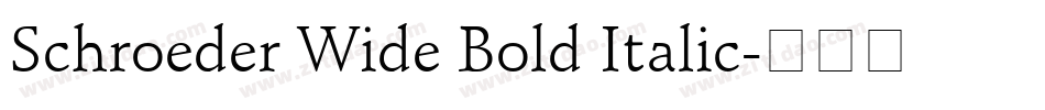 Schroeder Wide Bold Italic字体转换
